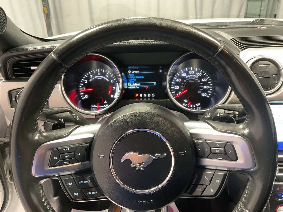 2020 Ford Mustang EcoBoost Premium Convertible